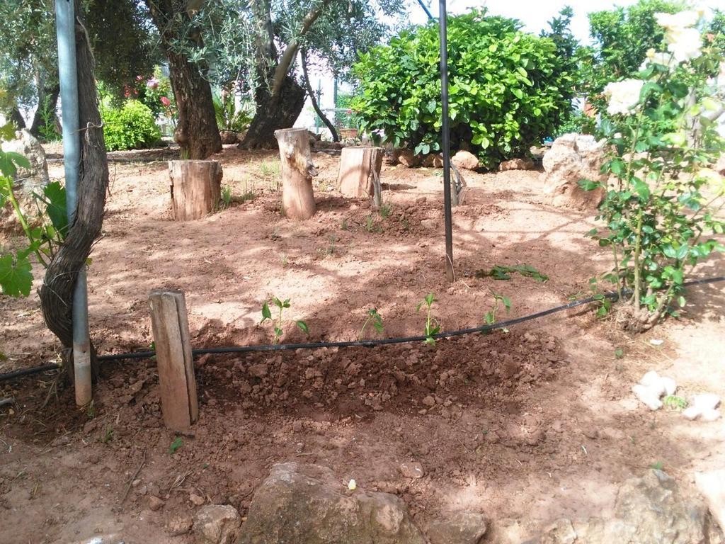 Alojamientos Rurales La Loma 포조알콘 외부 사진