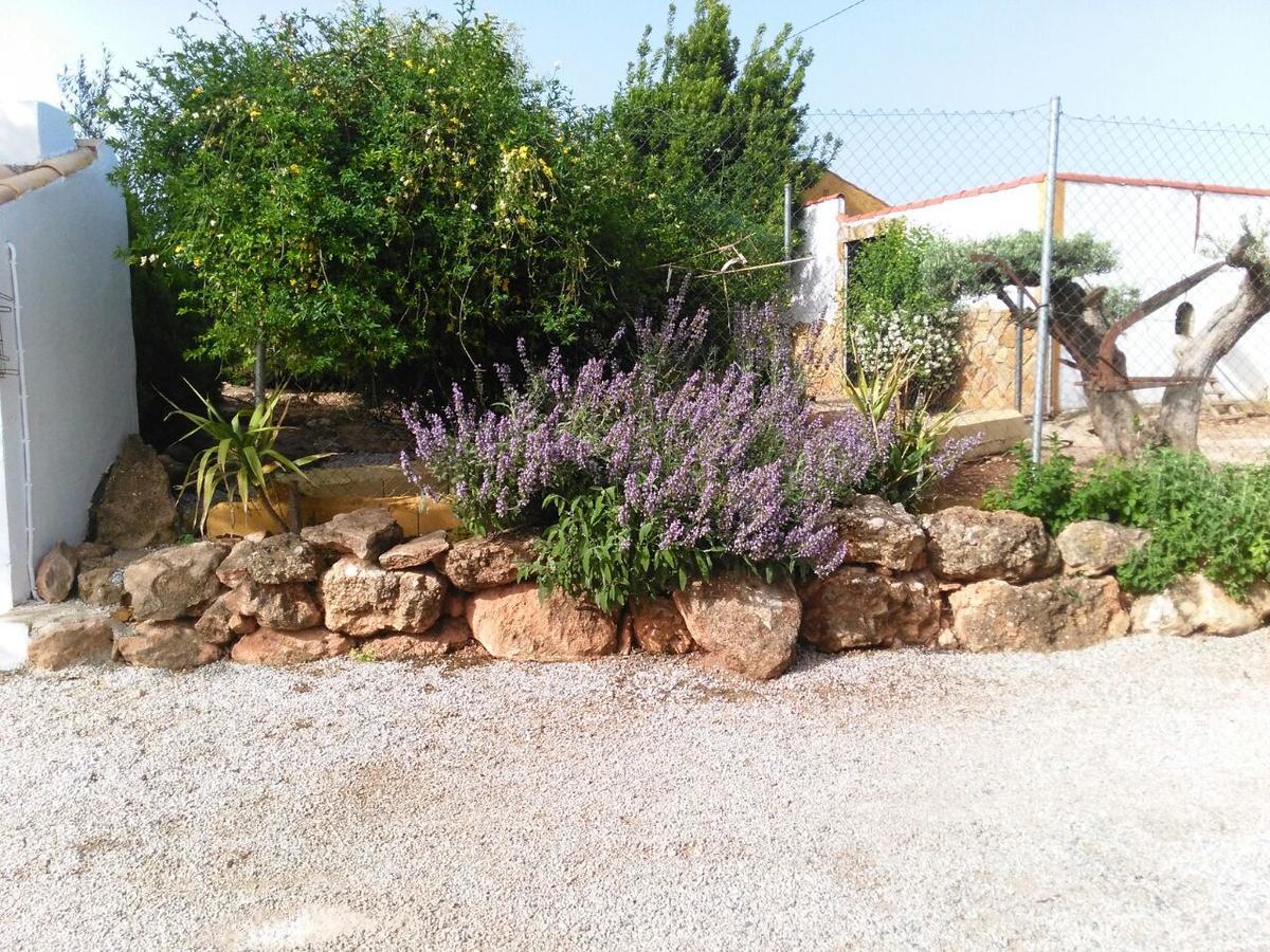 Alojamientos Rurales La Loma 포조알콘 외부 사진