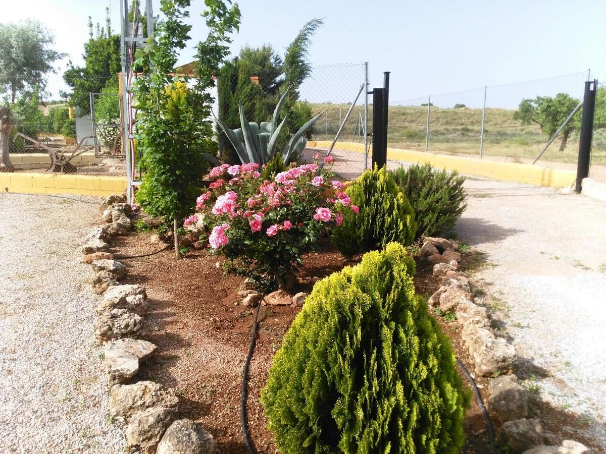 Alojamientos Rurales La Loma 포조알콘 외부 사진